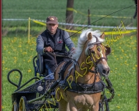 1POSIEUX 0140